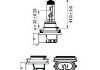 Лампа розжарювання H11 12V 55w PGJ19-2 H LongerLife Ecovision (вир-во) PHILIPS 12362LLECOC1 (фото 5)