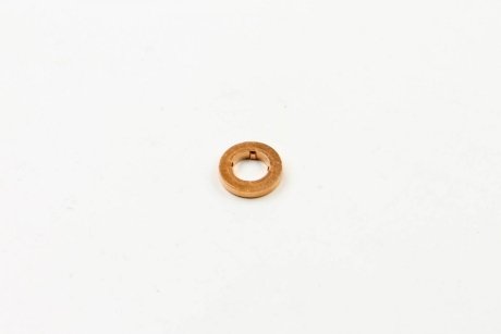 Уплотнительное кольцо, Bosch F 00V C17 505 (фото 1)