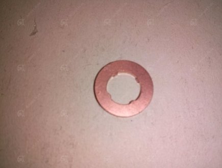 Уплотнительное кольцо, Bosch F 00V P01 004 (фото 1)