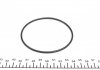 Водяний насос + комплект зубчатого ременя CHEVROLET CAPTIVA (C100, C140), 06/06 - 2.4 (Ви-во) INA 530 0358 31 (фото 9)