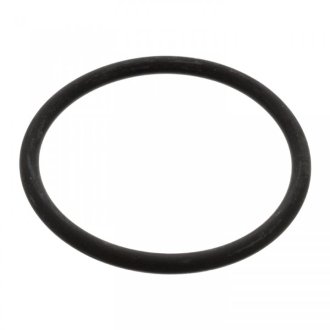 Кільце ущільнювача круглого перетину SWAG 32917966 (фото 1)