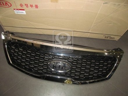 Решітка радіатора Mobis (KIA/Hyundai) 863502P000 (фото 1)