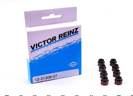 Комплект сальників клапану CITROEN/PEUFEOT/FIAT 2,0HDi 99- Victor Reinz 12-31306-07