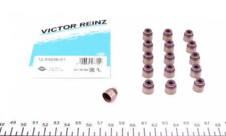 Сальники клапанів (комплект) RZ Victor Reinz 12-53036-01