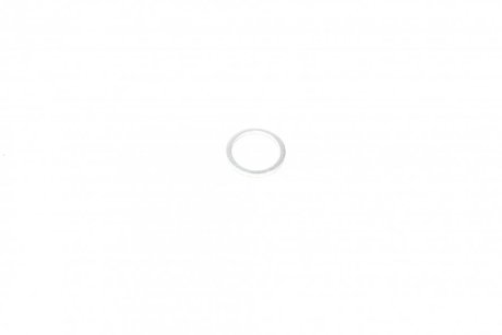 Уплотнительное кольцо, резьбовая пробка Victor Reinz 42-71113-00 (фото 1)