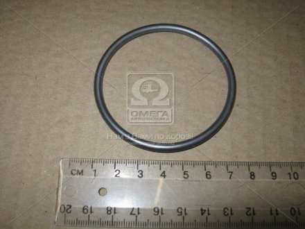 Кольцо уплотнительное VAG N 906 175 01 (фото 1)