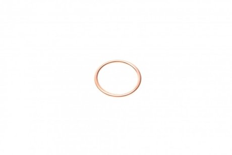 Уплотнительное кольцо, резьбовая пробка Victor Reinz 41-72065-30 (фото 1)