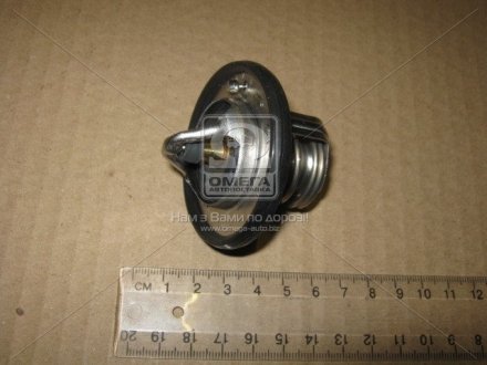 Термостат радіатора охолоджування Nissan/Infiniti 21200-ED00A (фото 1)