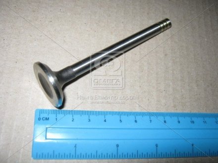 Випускний клапан AE V90165 (фото 1)