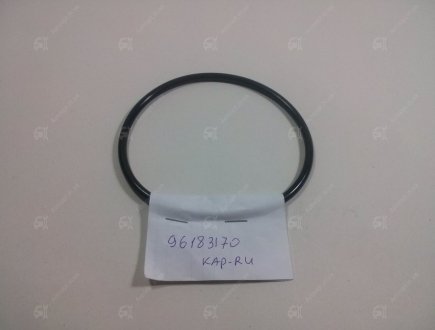 Уплотнительное кольцо топливного насоса ONNURI 96183170 (фото 1)