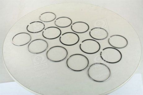 Кільця поршневі VAG 5 Cyl. 81,00 2,5 x 2,0 x 3,00 mm (вир-во) SM MVI 795041-00-5 (фото 1)