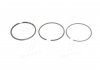 Кольца поршневые (выр-во) Kolbenschmidt (KS) 800000911000 (фото 1)