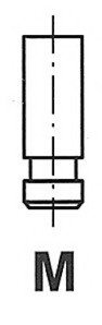 Клапан впускний NISSAN DATSUN 4486/RNT IN Freccia R4486/RNT (фото 1)