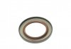 Уплотняющее кольцо, коленчатый вал CORTECO 20018081B (фото 2)