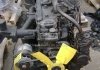Двигатель МТЗ (81л.с.) ТНВД, корзина, компрессор, генератор, стартер, НШ ММЗ Д243-91М (фото 1)