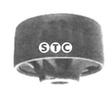 Підвіска, важіль незалежної підвіски колеса STC T402829 (фото 1)