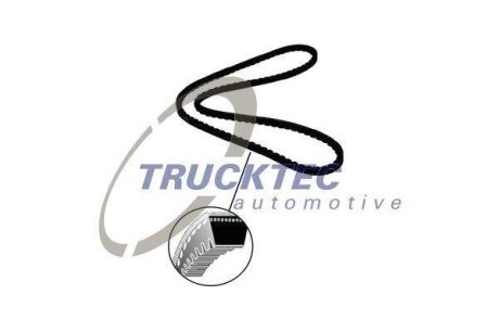 Ремень генератора Ford Transit 2.5D 97-00 TRUCKTEC AUTOMOTIVE 01.19.184