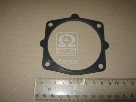 Прокладка дросельної заслінки Nissan/Infiniti 16175AR000 (фото 1)