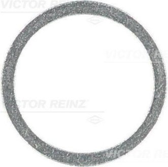 Уплотняющее кольцо Victor Reinz 417106500 (фото 1)