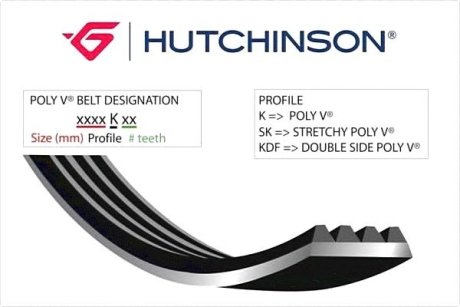 Поликлиновой ремень - HUTCHINSON 854 K 3 (фото 1)