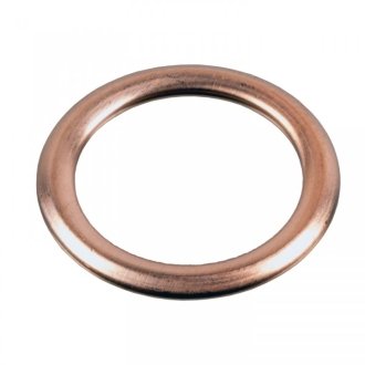 Уплотнительное кольцо, резьбовая пробка SWAG 60 94 4850 (фото 1)