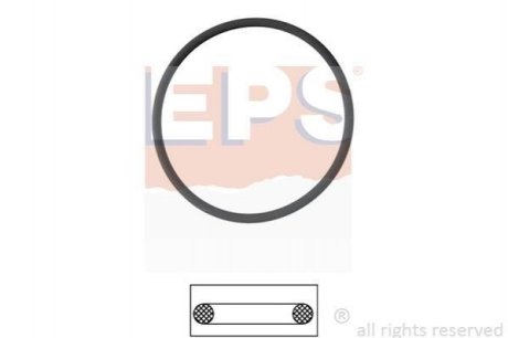 Прокладка, термостат - EPS 1890550 (фото 1)