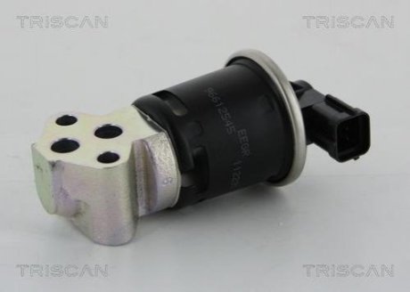 Клапан возврата отработавших газов двигателя 8813 21008 TRISCAN 881321008 (фото 1)