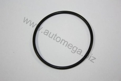 Прокладка термостата [DPH] Automega 190069620