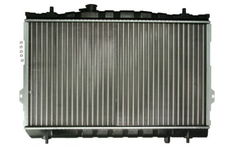 Основной радиатор (двигателя) - Thermotec D70517TT (фото 1)