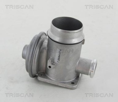 Клапан возврата отработавших газов двигателя 8813 11102 TRISCAN 881311102 (фото 1)
