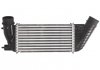 Интеркулер Thermotec DAC006TT (фото 1)