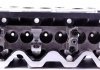 Головка блока цилиндров VW Crafter 2.5TDI 06-13 AMC 908713 (фото 9)