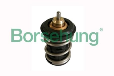 Клапан системи охолодження 04E121113F Borsehung B18261 (фото 1)