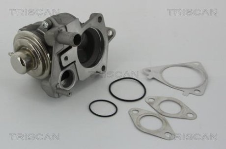 Клапан AGR Citroen Jumper/Fiat Ducato 3.0HDI 06- TRISCAN 8813 28019