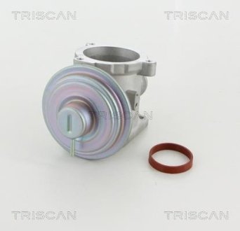 Клапан возврата отработавших газов двигателя TRISCAN 8813 11003