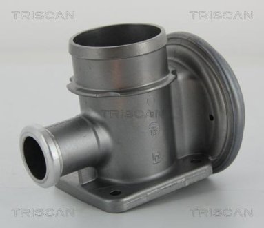 Клапан рецеркуляції відпрацьованих газів TRISCAN 8813 11004 (фото 1)