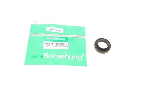 Уплотняющее кольцо КПП 020141733 Borsehung B17833 (фото 1)