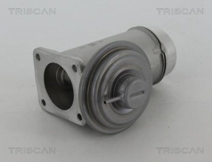 Клапан возврата отработавших газов двигателя TRISCAN 8813 11005 (фото 1)