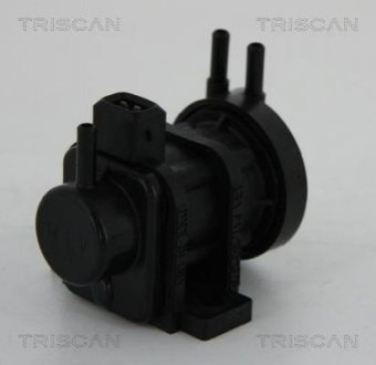 Клапан возврата отработавших газов двигателя TRISCAN 8813 24052