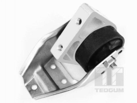 Подушка двигуна Tedgum 01008480 (фото 1)