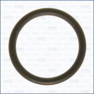 Кольцо резиновое AJUSA 16063000 (фото 1)