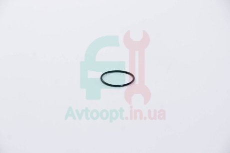 Прокладання впускного колектора VAG/Ford/MB/Opel/Renault AJUSA 16022000 (фото 1)