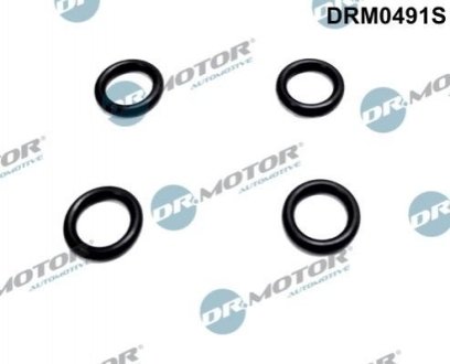 Комплект прокладок гумових Dr.Motor Automotive DRM0491S (фото 1)