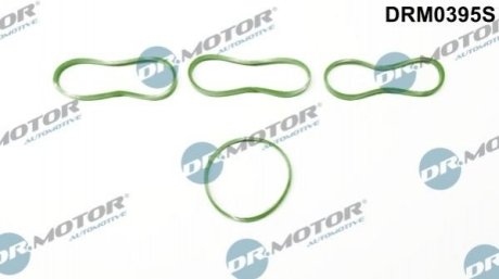 Комплект прокладок гумових Dr.Motor Automotive DRM0395S (фото 1)