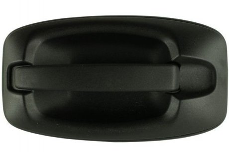 Ручка двери передняя правая наружная Iveco E6 (14-) Fast FT94584 (фото 1)