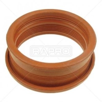 Уплотнительное кольцо Crafter 2.5 D 06-13 25457 Rapro R25457 (фото 1)