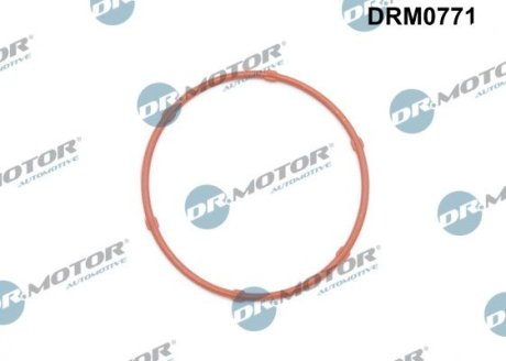 Прокладка двигателя резиновая Dr.Motor Automotive DRM0771 (фото 1)