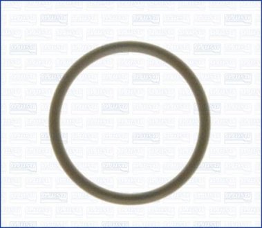 Кольцо резиновое AJUSA 16019000 (фото 1)