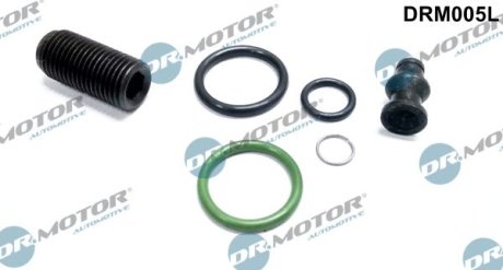 Ремкомплект форсунки 6 елементів DRMOTOR Dr.Motor Automotive DRM005L